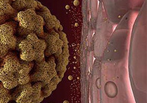 Cilvēka papilomas vīruss - kas tas ir?