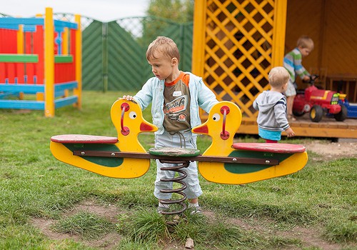 Zande: Bailes no insektiem ir pieļaujamas