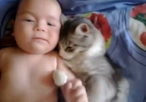 VIDEO: kaķēns+mazulis= mīlestība