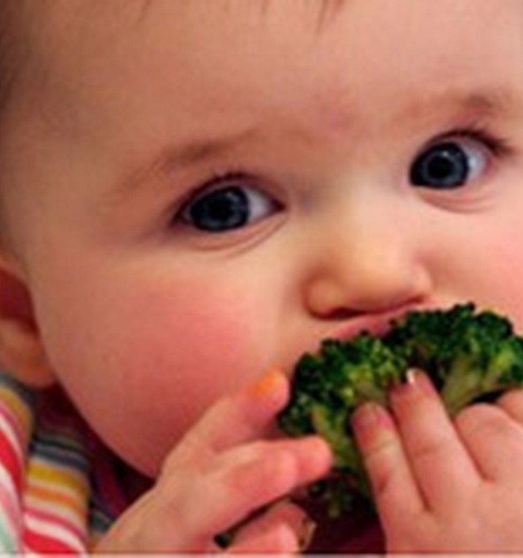 Vai 7 mēnešu vecumā pietiek tikai ar dārzeņu biezenīti?