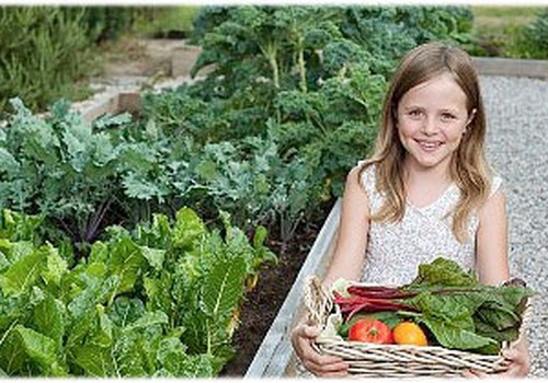 APTAUJA: Kādi ir Tava bērna dārzeņu un augļu ēšanas paradumi?