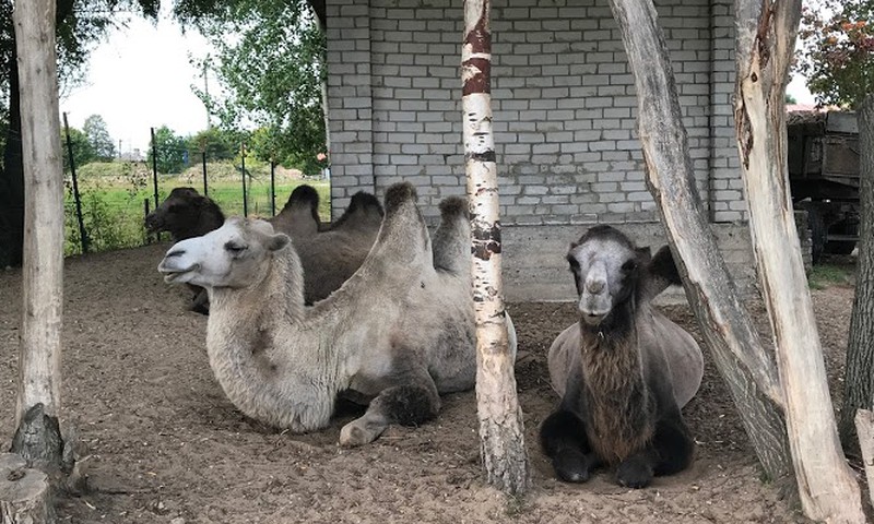 Eksotisko dzīvnieku parks Dundagā