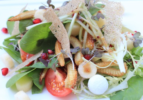Šefpavāra meistarklase: svaigie vasaras salāti