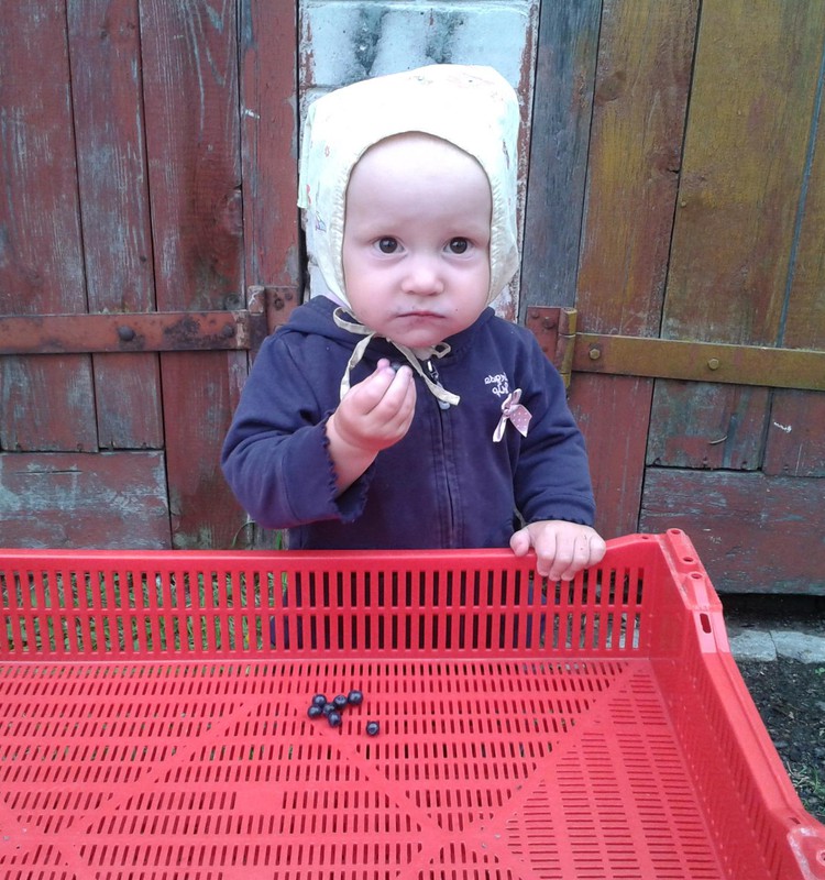 Mūsu  vasara laukos.