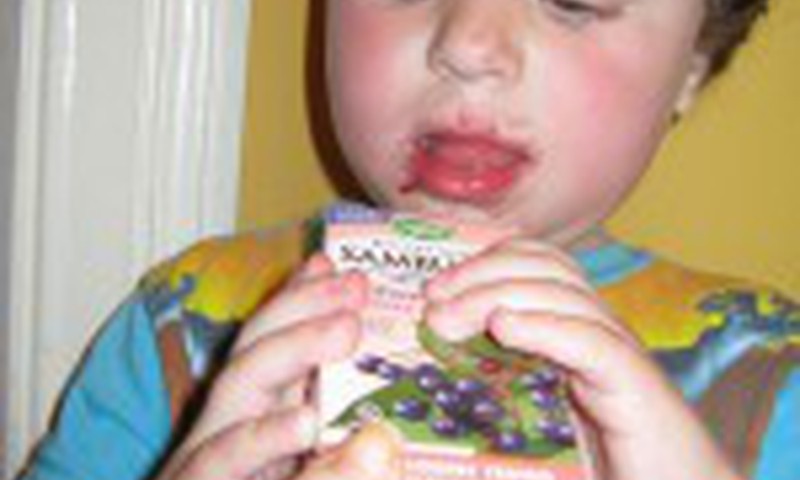 Sambucus Kids- kas tas ir?