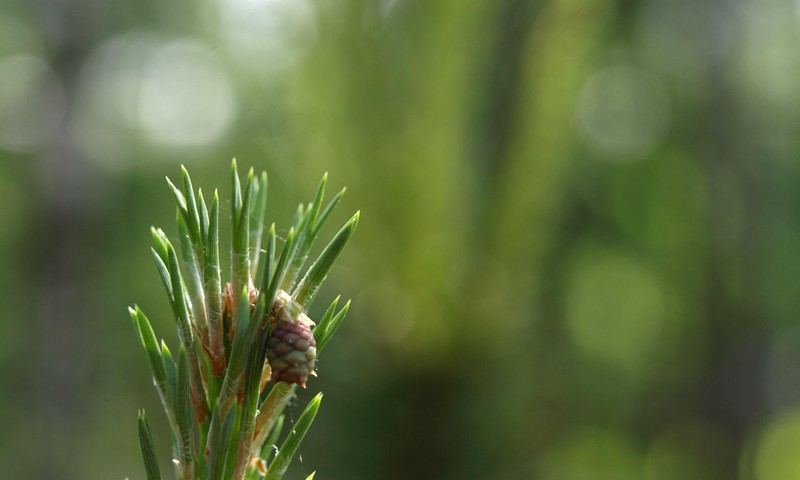 Pētījums “Latvieši un vainas apziņa”