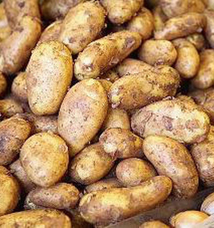 Kuri ir šobrīd pieprasītākie ekoloģiskie pārtikas produkti?