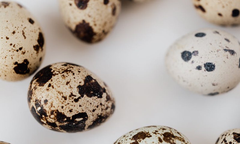 Paipalu olas bērna uzturā: kad un kā piedāvāt?