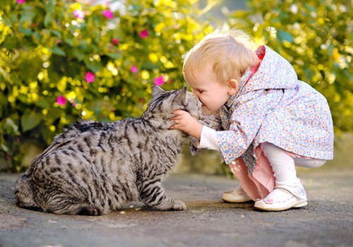FACEBOOK FOTOkonkurss: "Mans bērns un kaķis" ir galā