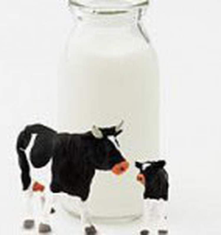 Piena produkti- īsta vitamīnu noliktava!