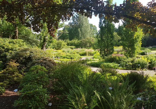 LU Botāniskais dārzs