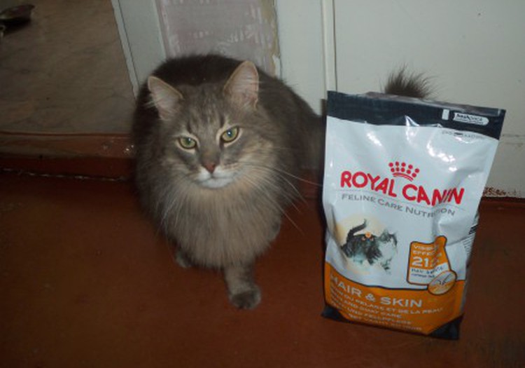 Minkānam garšo Royal Canin