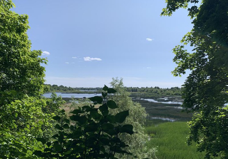 Vasaras gids 2023: Jūnija pieturzīmes