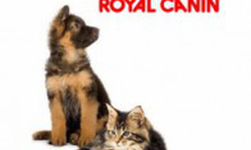 Gaidām tavu atsauksmi par Royal Canin