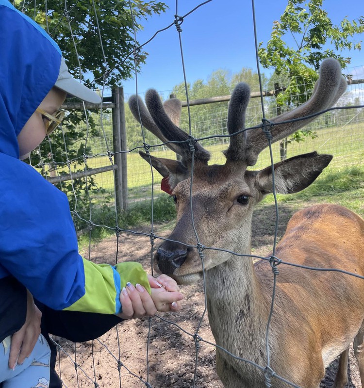 Trojs atpūšas un izglītojas: Safari parks MORE