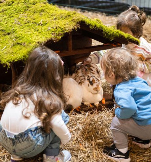 “PetExpo 2026” – divas dienas dzīvnieku pasaulē!