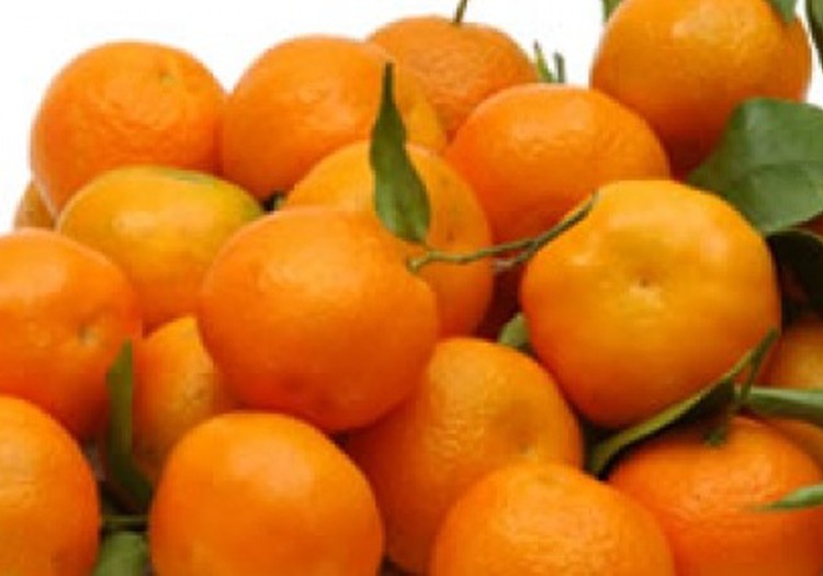 Mārtiņa Sirmā mandarīnu deserts