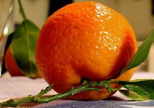 Oranžais kārums- mandarīns