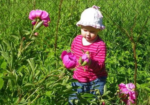 Paldies TEV „Māmiņu klubs”, ka Tu mums esi!