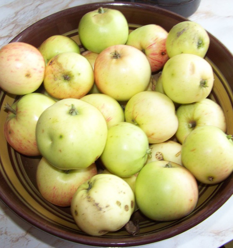 Pašas gatavots ābolu biezenītis pašiem mazākajiem