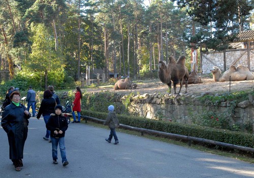 Šodien Rīgas zooloģiskajam dārzam 98!