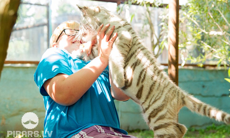 Kā es uz Klaipēdas Zoo braucu tīģerīšus lūkoties