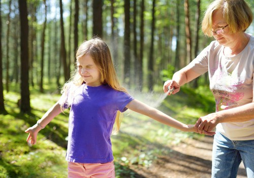 Speciālistu padomi cīņai ar kukaiņu kodumiem