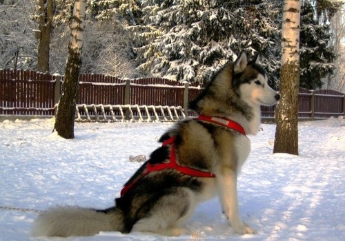 10 iemesli, kāpēc jāapmeklē  18. starptautiskā tūrisma izstāde-gadatirgus "Balttour 2011" 