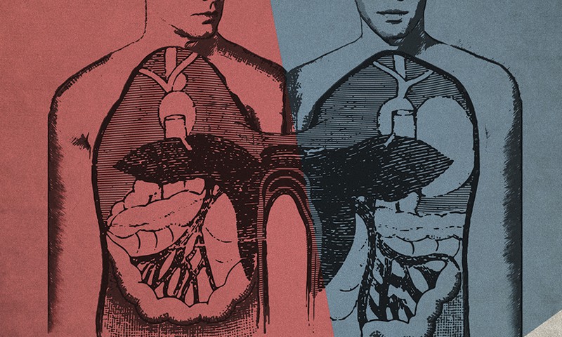 Režisors Pēteris Krilovs Dailes teātrī atgriežas ar iestudējumu “Lielā melu burtnīca”