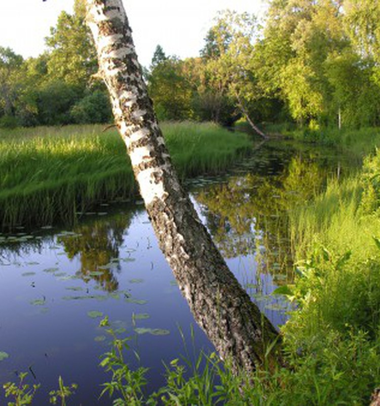 Gardu pārsteigumu no Iļģuciema maiznīcas saņem..