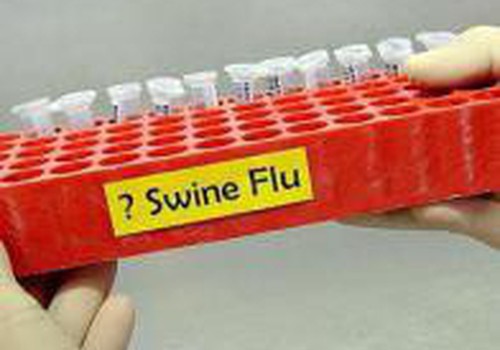 PVO: šoziem 'cūku gripas' uzliesmojums nav gaidāms