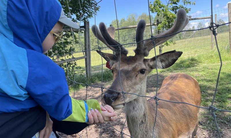 Trojs atpūšas un izglītojas: Safari parks MORE