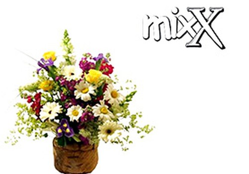 Veikalos "mixX" svētku atlaides!