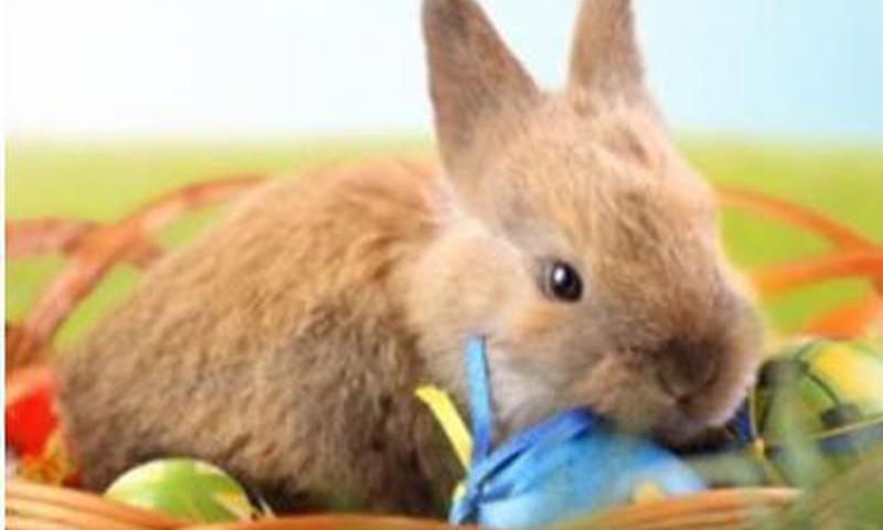 5. aprīlī aicinām uz bezmaksas Lieldienu pasākumu bērniem