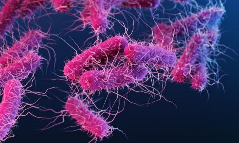Pēdējo dienu laikā Latvijā reģistrēti 10 enterohemorāģiskās E.coli infekcijas gadījumi