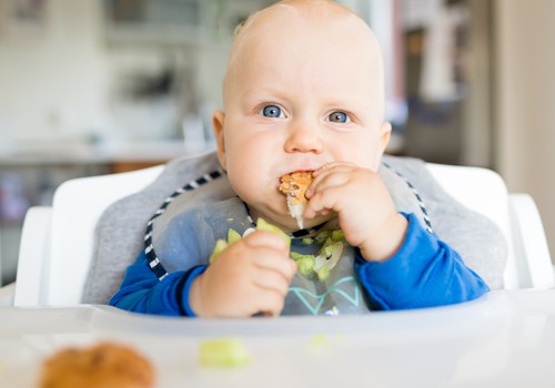 Ir jautājumi par bērnu vadīto ēšanu? Gatavojies mazuli piebarot? Lekcija pie Klaudijas Hēlas!