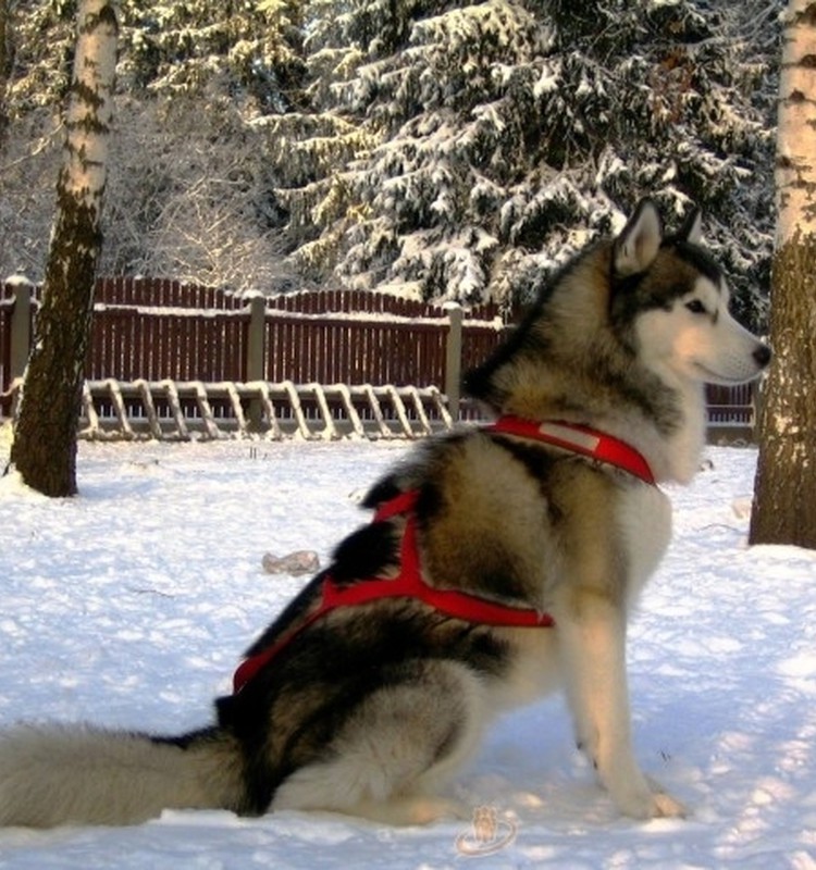 10 iemesli, kāpēc jāapmeklē  18. starptautiskā tūrisma izstāde-gadatirgus "Balttour 2011" 