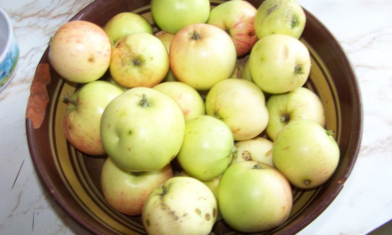 Pašas gatavots ābolu biezenītis pašiem mazākajiem