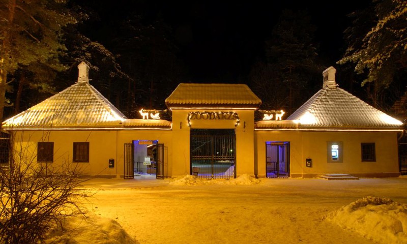 Ziemas naktis Zoodārzā