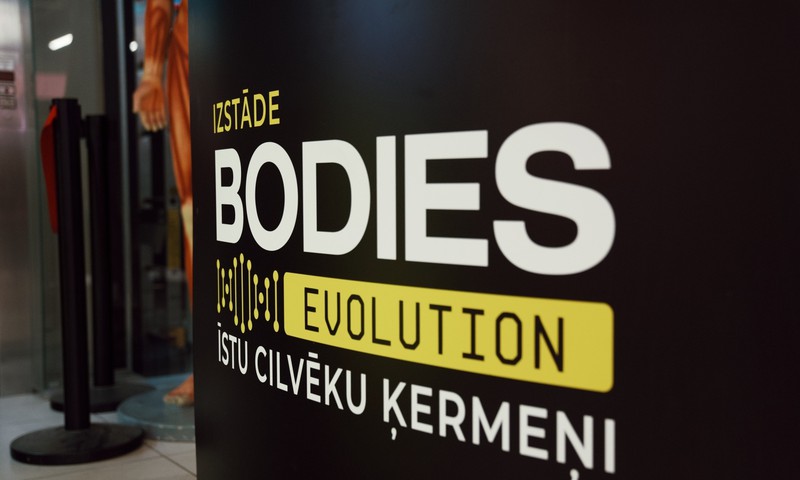 Rīgā tiek atklāta viena no pasaulē pazīstamākajām izstādēm par cilvēka ķermeni - BODIES Evolution