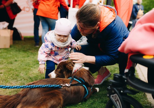 Royal Canin teltī varēja konsultēties ar kanisterapijas speciālistiem un samīļot suņus