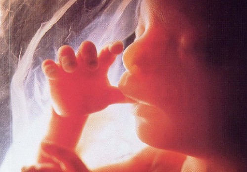 Būs konsultācijas sievietēm pirmajā grūtniecības reizē, ja izteikta vēlme veikt abortu