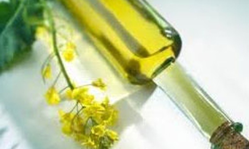 Kāpēc rapšu eļļa ir tik vērtīga?