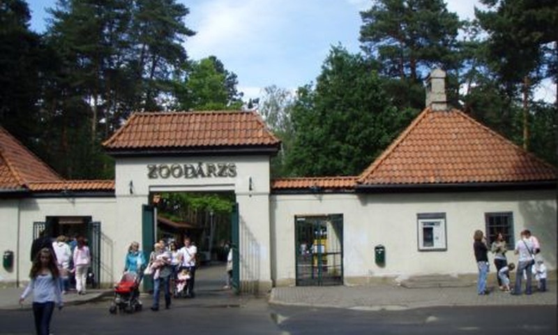 Mēness gaisma, zirgu pajūgi un jauni iemītnieki Zoodārzā