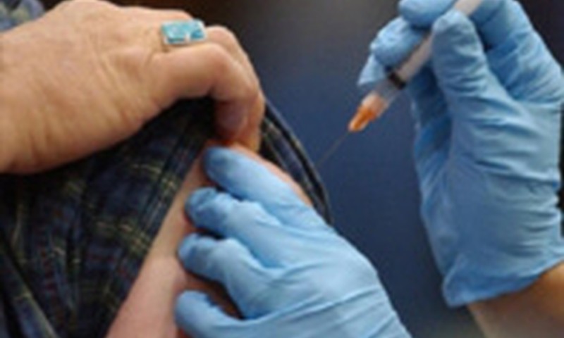 Gripas vakcīna palielina uzņēmību pret cūku gripas H1N1 vīrusu 
