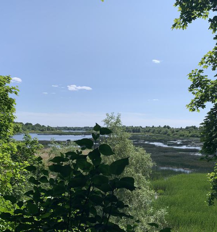 Vasaras gids 2023: Jūnija pieturzīmes