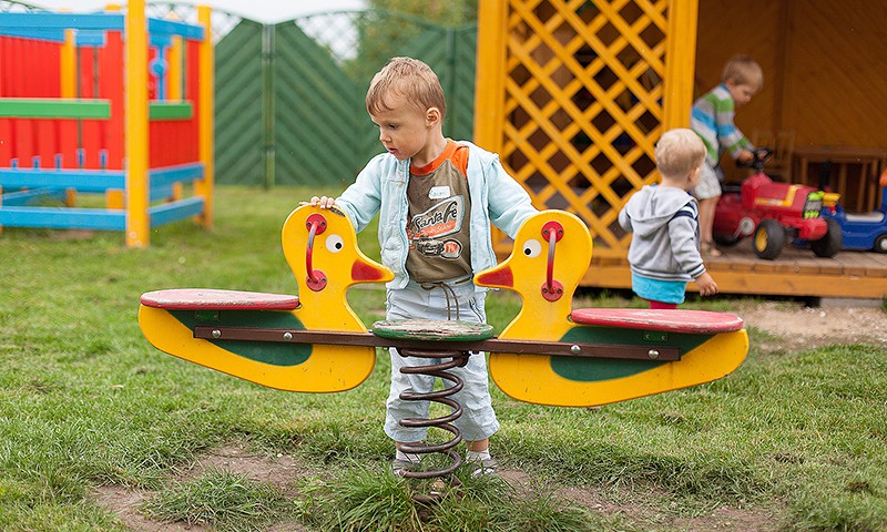 Zande: Bailes no insektiem ir pieļaujamas