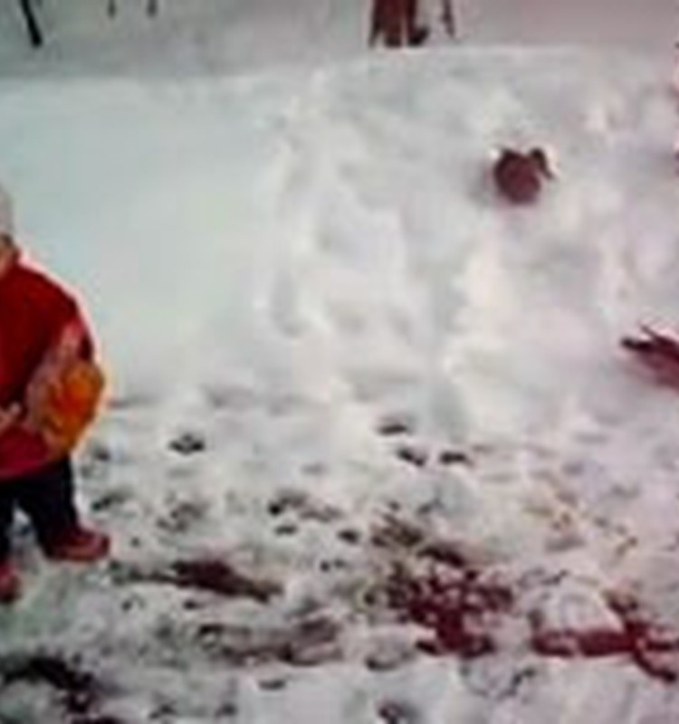 VIDEO: pīļu barošana