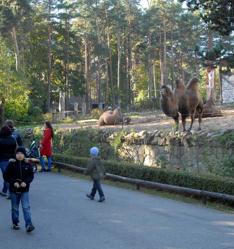 Šodien Rīgas zooloģiskajam dārzam 98!