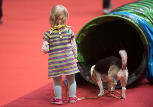 Ar bērniem uz “ZooExpo 2019” Ķīpsalā jau šonedēļ!